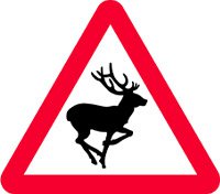 Beware of deer road sign