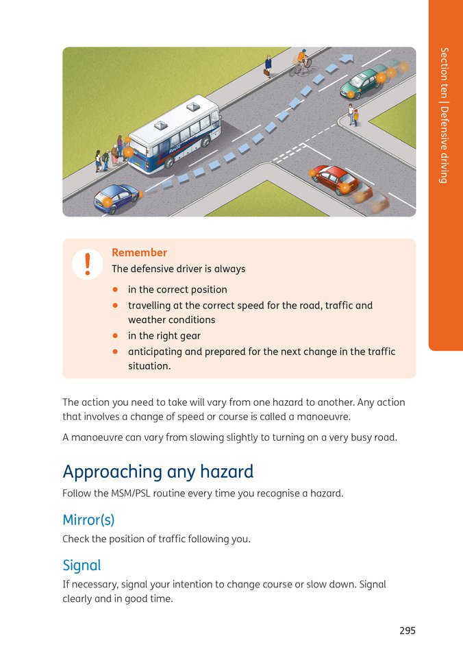 DES page 295 look inside.jpg