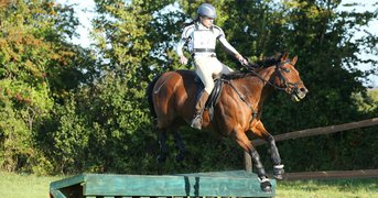 Horse and rider jump over obstacle in field.