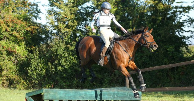 Horse and rider jump over obstacle in field.