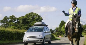 Horse-and-rider ackowledge overtaking car.