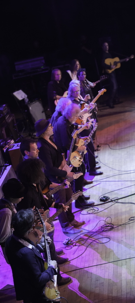 _MG_5316 crop_resize