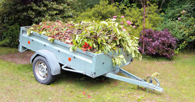 Trailer loaded with plant cuttings